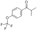2-methyl-1-(4-trifluoromethoxyphenyl)-1-propanone