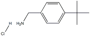 4-叔丁基苄胺盐酸盐