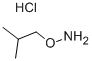 Isobutylhydroxylaminehydrochloride