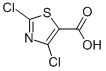 dichloro-1,3-thiazole-5-carboxylic acid