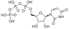 尿苷5'-三磷酸酯