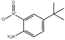 Benzenamine, 4-(1,1-dimethylethyl)-2-nitro-