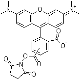 5(6)-TAMRA, SE [5-(and-6)-Carboxytetramethylrhodamine, succinimidyl ester] *Mixed isomers*
