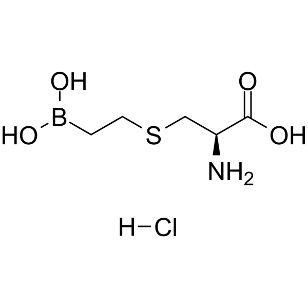 BEC hydrochloride - S-(2-Boronoethyl)-L-cysteine hydrochloride