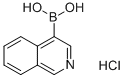ISOQUINOLIN-4-YLBORONIC ACID HYDROCHLORIDE