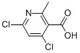 4,6-dichloro-2-Methyl-3-carbethoxypyridine