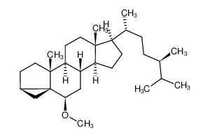 (3β,5α,6β,24R)-6-Methoxy-3,5-cycloergostane