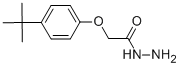 2-(4-叔丁基苯氧基)乙烷肼