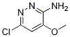 6-氯-4-甲氧基哒嗪-3-胺