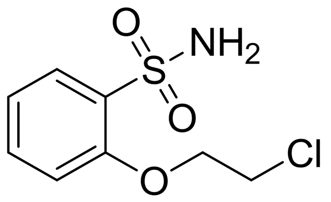 2-(2-chloroethoxy)benzene sulfonamide