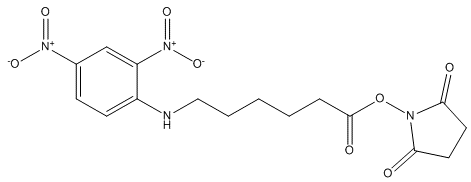 N-(2,4-Dinitrophenyl)-6-aminocaproic  acid  N-succinimidyl  ester