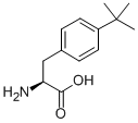 4-叔丁基苯丙氨酸