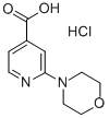 2-吗啉代异烟酸酸盐酸盐
