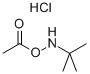 (tert-butylamino) acetate hydrochloride