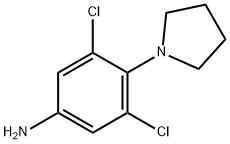 Benzenamine, 3,5-dichloro-4-(1-pyrrolidinyl)-