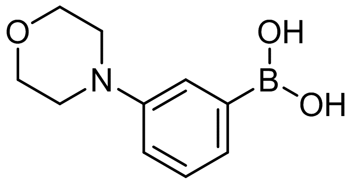 3-吗啉苯硼酸