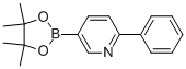 2-苯基-5-吡啶硼酸酯