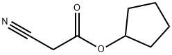 2-Cyano-acetic acid cyclopentyl ester