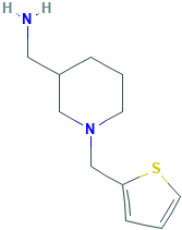 {[1-(2-Thienylmethyl)piperidin-3-yl]methyl}amine