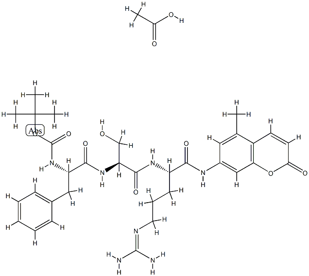 胰蛋白酶(+4℃)