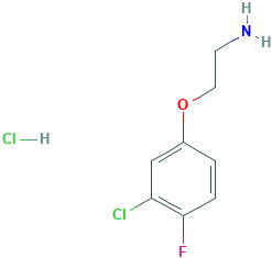 2-(3-氯-4-氟苯氧基)乙烷-1-胺盐酸盐