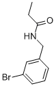 N-(3-溴苄基)丙酰胺