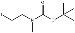 Carbamic acid, N-(2-iodoethyl)-N-methyl-, 1,1-dimethylethyl ester
