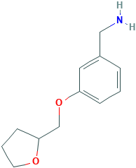 3-(Tetrahydro-furan-2-ylmethoxy)-benzylamine
