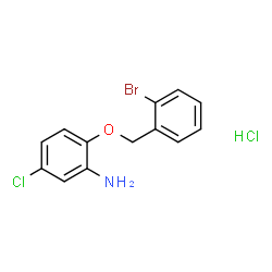 2-(2-BROMOBENZYLOXY)-5-CHLOROANILINE HYDROCHLORIDE