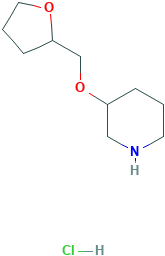 3-(TETRAHYDRO-2-FURANYLMETHOXY)PIPERIDINE