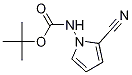 (2-氰基-1H-吡咯-1-基)氨基甲酸叔丁酯
