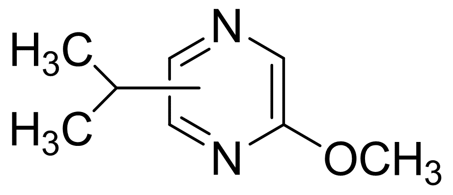 2-Methoxy-3-isopropyl pyrazine