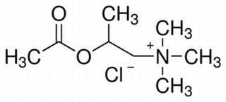 beta-methylacetylcholinechloride