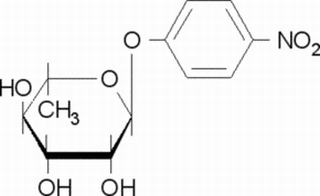 3-Nitrophenyl a-L-rhaMnopyranoside