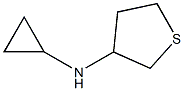 N-环丙基四氢噻吩-3-胺