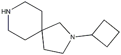 2,8-Diazaspiro[4.5]decane, 2-cyclobutyl-