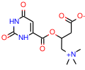 3-carboxy-2-hydroxy-n,n,n-trimethyl-1-propanaminium 1,2,3,6-tetrahydro-2,6-dioxo-4-pyrimidinecarboxylic acid salt