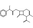 (6R,7R)-7-[[(2R)-2-amino-2-phenylacetyl]amino]-3-methyl-8-oxo-5-thia-1-azabicyclo[4.2.0]oct-3-ene-2-carboxylic acid