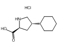 4-cyclohexyl-2-pyrrolidinecarboxylic acid hydrochloride