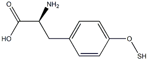 O-卞基-L-酪氨酸
