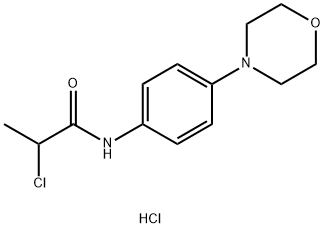 2-氯-N-[4-(吗啉-4-基)苯基]丙酰胺盐酸盐
