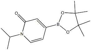 1-isopropyl-4-(4,4,5,5-tetramethyl-1,3,2-dioxaborolan-2-yl)pyridin-2(1H)-one