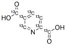 2,5-Pyridinedicarbonyl Acid-13C7(see P991640 for unlabelled)
