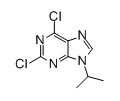 2,6-二氯-9-(丙-2-基)-9H-嘌呤
