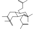 α-D-氨基葡萄糖五乙酸盐