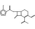 头孢地尼杂质F (6R,7R)-7-[(2Z)-(2-氨基-4-噻唑基)(羟基亚氨基)乙酰基]氨基]-3-乙烯基-8-氧代-5-硫杂-1-氮杂双环[4.2.0]辛-3-烯-2-羧酸