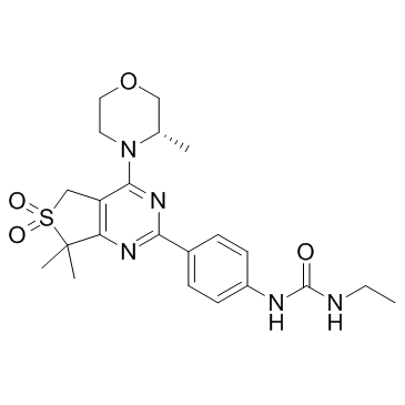 (S)-1-(4-(7,7-dimethyl-4-(3-methylmorpholino)-6,6-dioxido-5,7-dihydrothieno[3,4-d]pyrimidin-2-yl)phenyl)-3-ethylurea