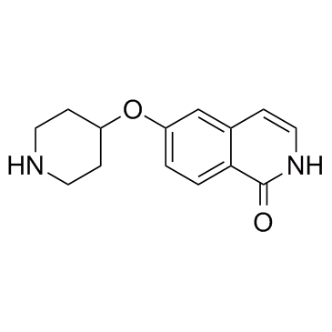 6-(piperidin-4-yloxy)isoquinolin-1(2H)-one