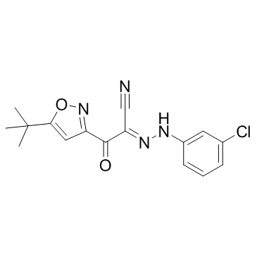 alpha-[(3-Chlorophenyl)hydrazono]-5-(1,1-dimethylethyl)-beta-oxo-3-isoxazolepropanenitrile