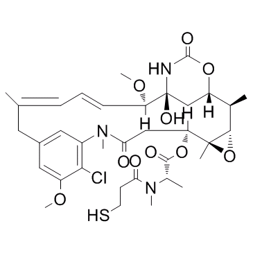 DM1 Mertansine